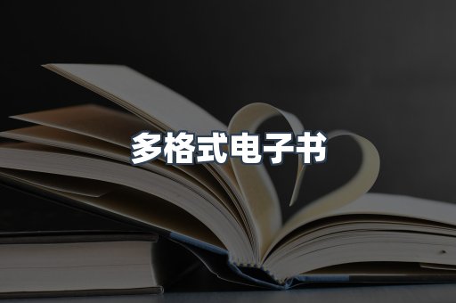 多格式电子书